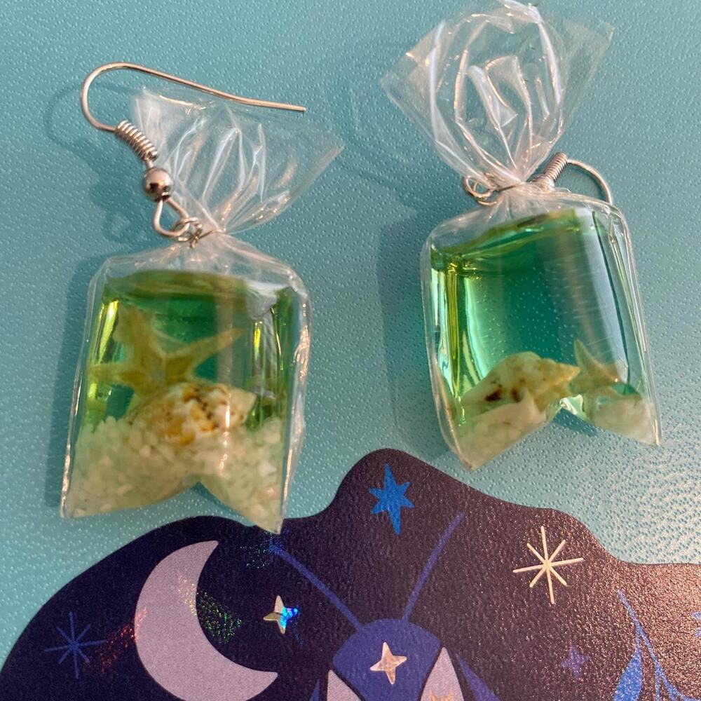 Seashells and starfish in bag earrings jewelry